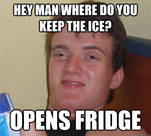 Hey man where do you keep the ice? opens fridge  10 Guy