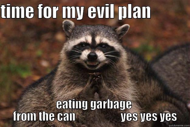 TIME FOR MY EVIL PLAN             EATING GARBAGE  FROM THE CAN                     YES YES YES Evil Plotting Raccoon