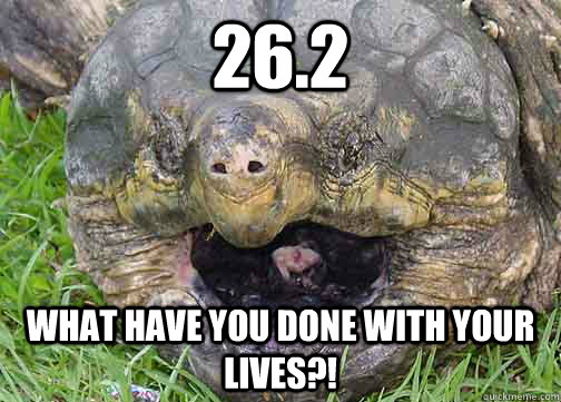 26.2 WHAT HAVE YOU DONE WITH YOUR LIVES?!  Crabby old man aligator snapping turtle