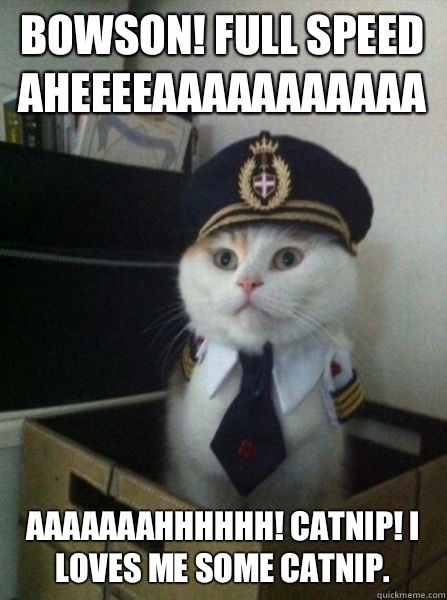 Bowson! Full speed aheeeeaaaaaaaaaaa Aaaaaaahhhhhh! Catnip! I loves me some catnip. - Bowson! Full speed aheeeeaaaaaaaaaaa Aaaaaaahhhhhh! Catnip! I loves me some catnip.  Captain kitteh