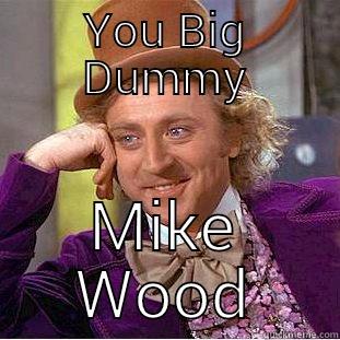 YOU BIG DUMMY MIKE WOOD Condescending Wonka