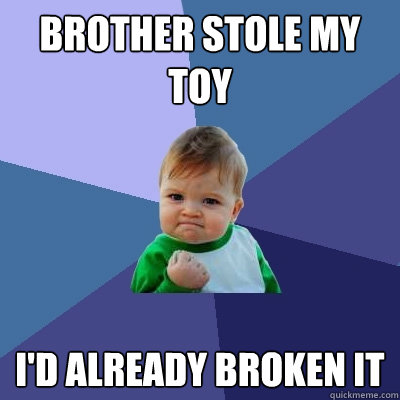 Brother stole my toy I'd already broken it  Success Kid