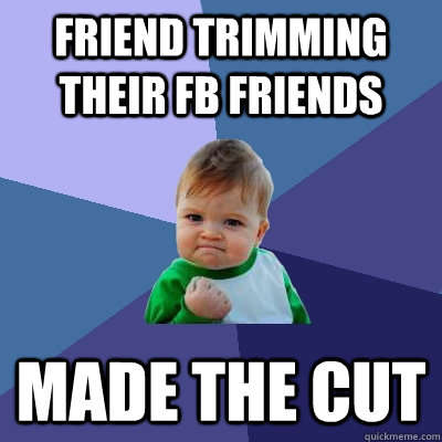 Friend trimming their fb friends Made the cut - Friend trimming their fb friends Made the cut  Success Kid