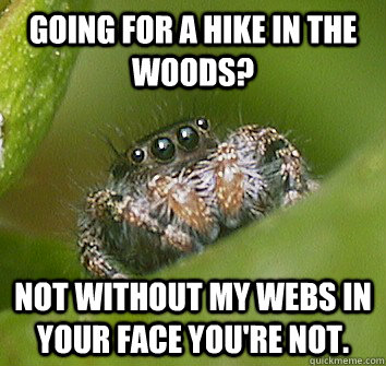 Going for a hike in the woods? Not without my webs in your face you're not. - Going for a hike in the woods? Not without my webs in your face you're not.  Misunderstood Spider