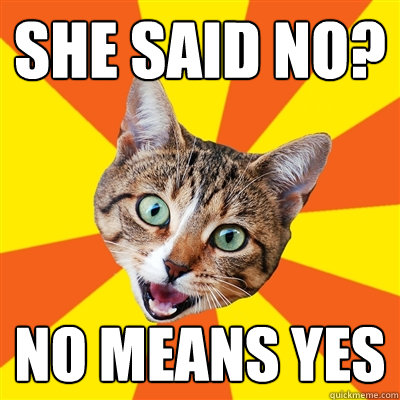 She said no? No means yes - She said no? No means yes  Bad Advice Cat