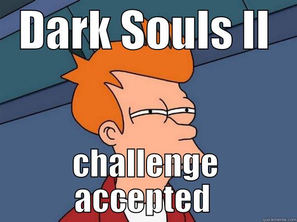 DARK SOULS II CHALLENGE ACCEPTED  Futurama Fry