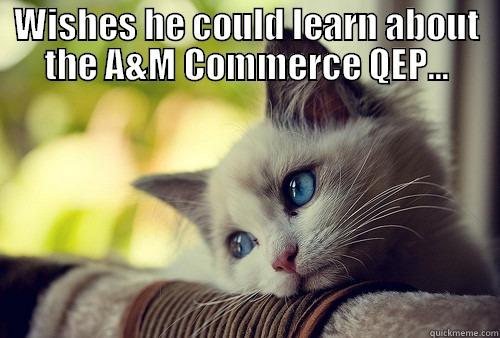 WISHES HE COULD LEARN ABOUT THE A&M COMMERCE QEP...  First World Problems Cat