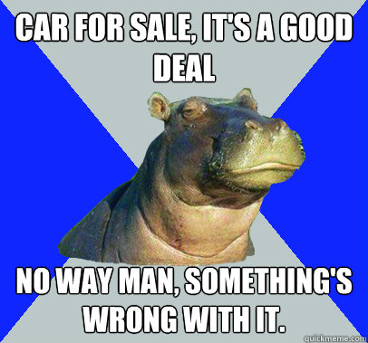 Car for sale, it's a good deal No way man, something's wrong with it.  Skeptical Hippo