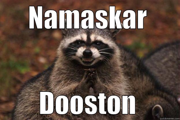 NAMASKAR DOOSTON Evil Plotting Raccoon