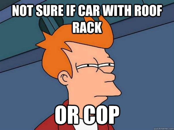 Not sure if car with roof rack  or cop  Futurama Fry