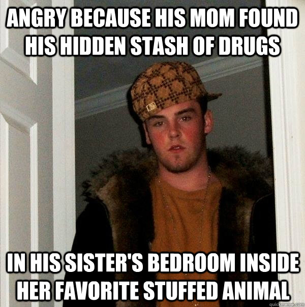 angry because his mom found his hidden stash of drugs In his sister's bedroom inside her favorite stuffed animal  Scumbag Steve