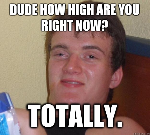 Dude how high are you right now? Totally.  - Dude how high are you right now? Totally.   10 Guy