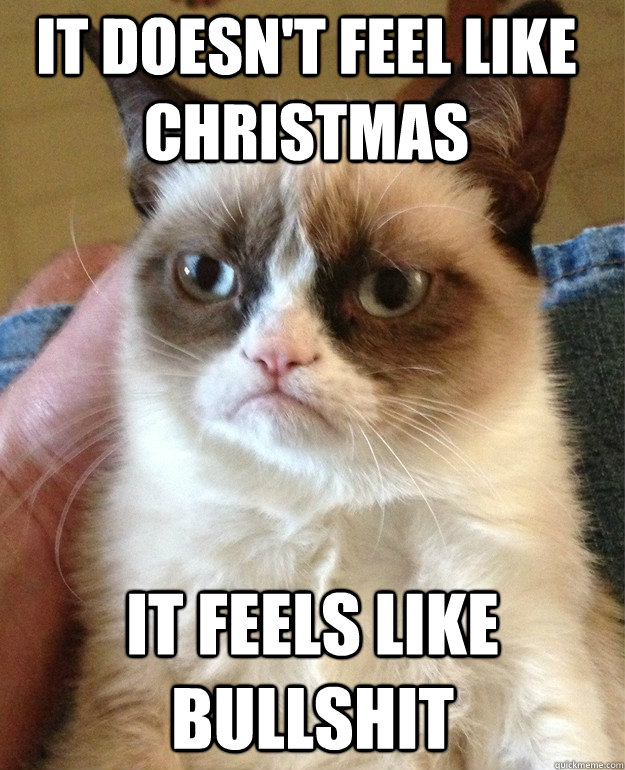 it doesn't feel like christmas it feels like bullshit  Grumpy Cat