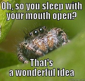 OH, SO YOU SLEEP WITH YOUR MOUTH OPEN? THAT'S A WONDERFUL IDEA Misunderstood Spider