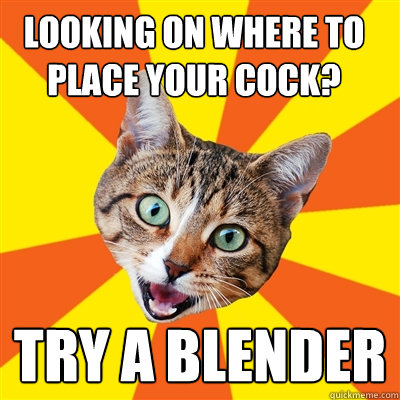 Looking on where to place your cock? TRY A BLENDER  Bad Advice Cat