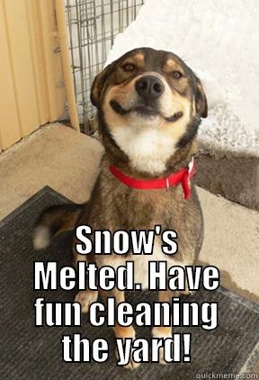  SNOW'S MELTED. HAVE FUN CLEANING THE YARD! Good Dog Greg