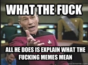 What the fuck all he does is explain what the fucking memes mean  Annoyed Picard