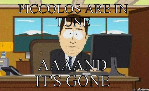 PICCOLOS ARE IN TUNE AAAAND IT'S GONE aaaand its gone