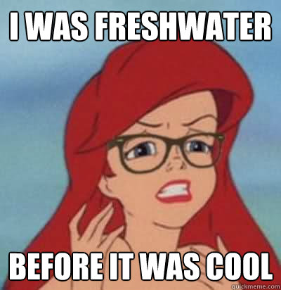 I was freshwater before it was cool  Hipster Ariel