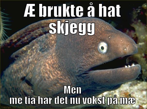 Skjegg hat - Æ BRUKTE Å HAT SKJEGG MEN ME TIA HAR DET NU VOKST PÅ MÆ Bad Joke Eel