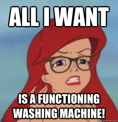 All i want is a functioning washing machine!  Hipster Ariel