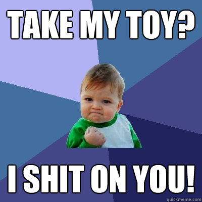 Take my toy? i shit on you!  Success Kid