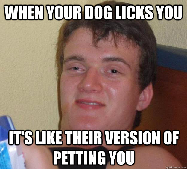 When your dog licks you it's like their version of petting you - When your dog licks you it's like their version of petting you  10 Guy