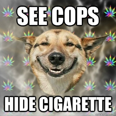 See cops hide cigarette  Stoner Dog