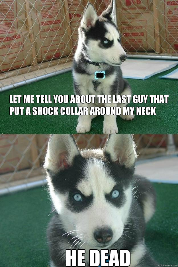 Let me tell you about the last guy that put a shock collar around my neck HE DEAD - Let me tell you about the last guy that put a shock collar around my neck HE DEAD  Insanity puppy