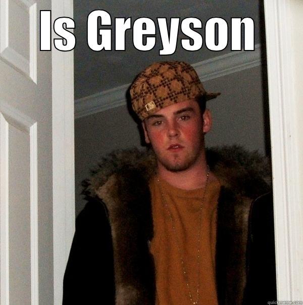 IS GREYSON  Scumbag Steve