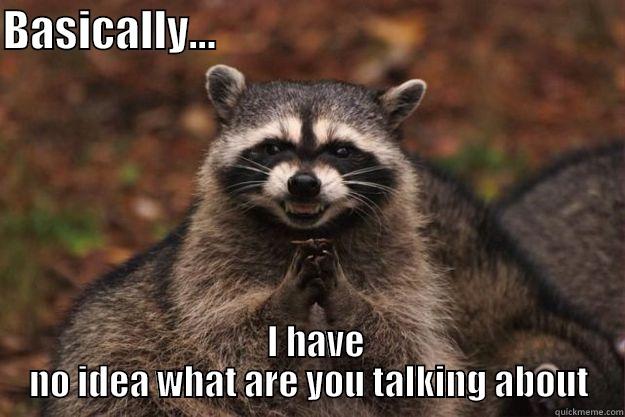 BASICALLY...                                                  I HAVE NO IDEA WHAT ARE YOU TALKING ABOUT Evil Plotting Raccoon