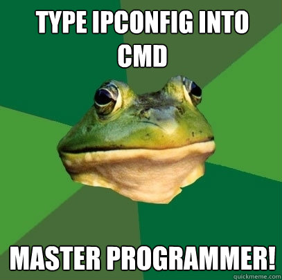 Type ipconfig into CMD MASTER PROGRAMMER! - Type ipconfig into CMD MASTER PROGRAMMER!  Foul Bachelor Frog