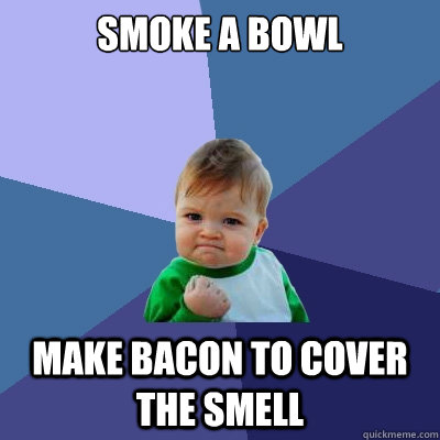 Smoke a bowl Make bacon to cover the smell - Smoke a bowl Make bacon to cover the smell  Success Kid