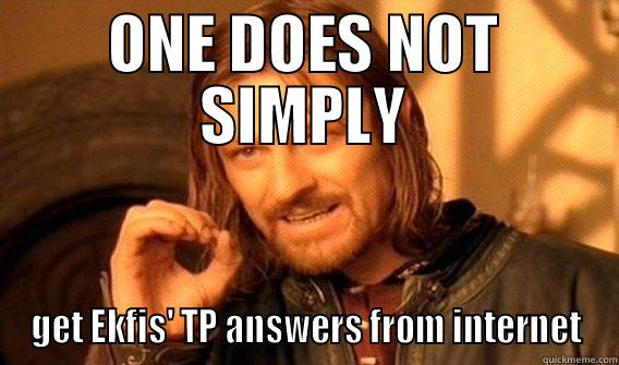 ONE DOES NOT SIMPLY GET EKFIS' TP ANSWERS FROM INTERNET One Does Not Simply