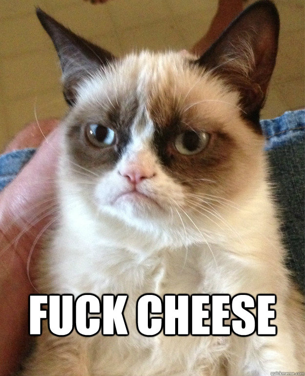  Fuck cheese  Grumpy Cat