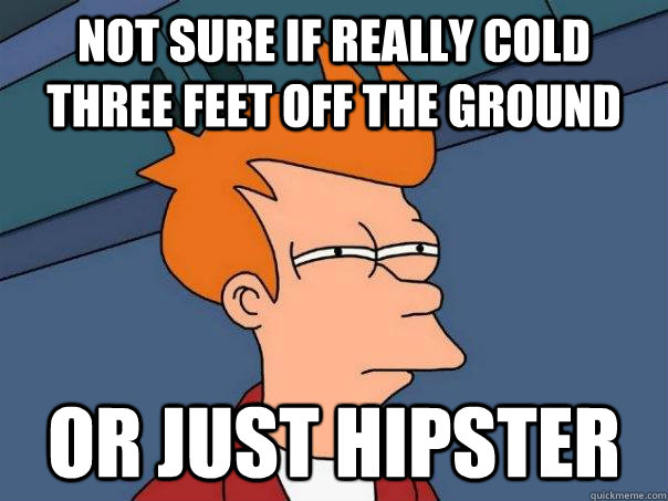 NOT SURE IF REALLY COLD THREE FEET OFF THE GROUND OR JUST HIPSTER  Futurama Fry