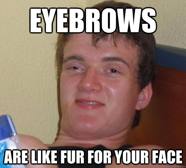 Eyebrows are like fur for your face - Eyebrows are like fur for your face  10 Guy