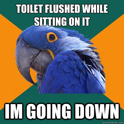 toilet flushed while sitting on it iM GOING down - toilet flushed while sitting on it iM GOING down  Paranoid Parrot