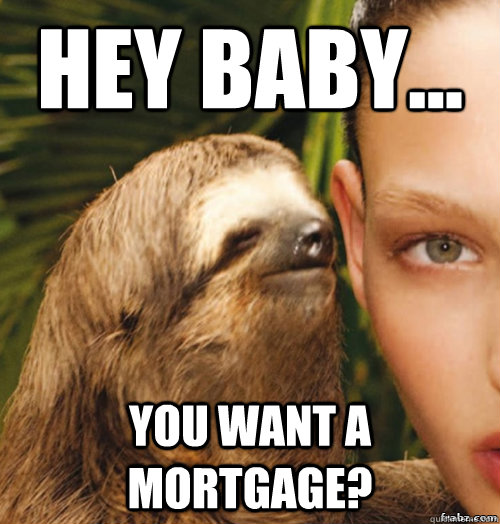 Hey baby... you want a mortgage?  rape sloth