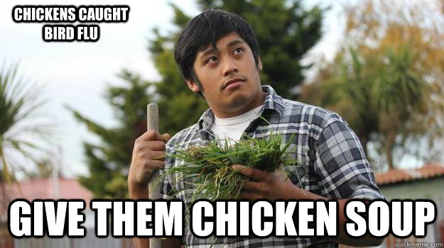 give them chicken soup chickens caught bird flu - give them chicken soup chickens caught bird flu  Hard working Kiwi man