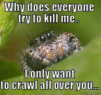 WHY DOES EVERYONE TRY TO KILL ME..  I ONLY WANT TO CRAWL ALL OVER YOU... Misunderstood Spider