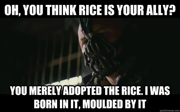 Oh, you think rice is your ally? You merely adopted the rice. I was born in it, moulded by it  Badass Bane