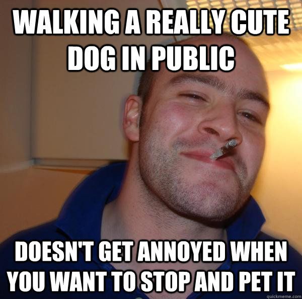 Walking a really cute dog in public Doesn't get annoyed when you want to stop and pet it - Walking a really cute dog in public Doesn't get annoyed when you want to stop and pet it  Misc