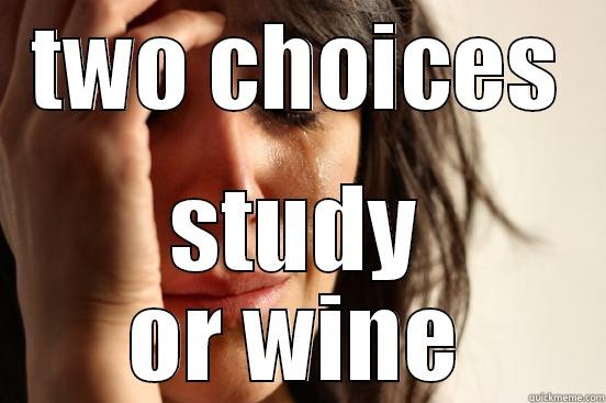 TWO CHOICES STUDY OR WINE First World Problems