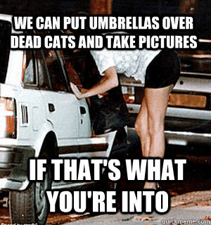 We can put umbrellas over dead cats and take pictures if that's what you're into  Karma Whore