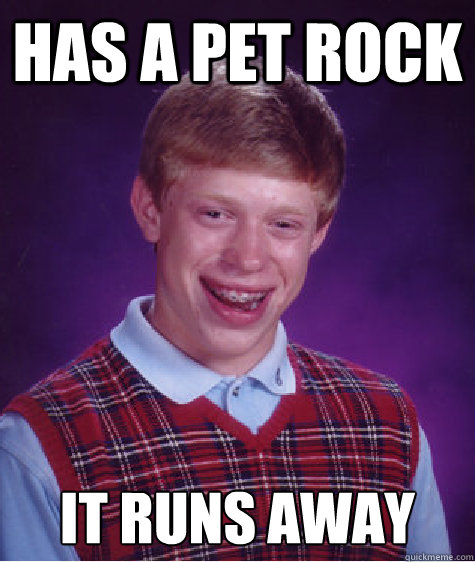 Has a Pet rock it runs away  Bad Luck Brian