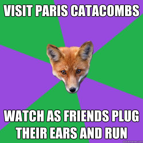 Visit Paris Catacombs Watch as friends plug their ears and run  Anthropology Major Fox