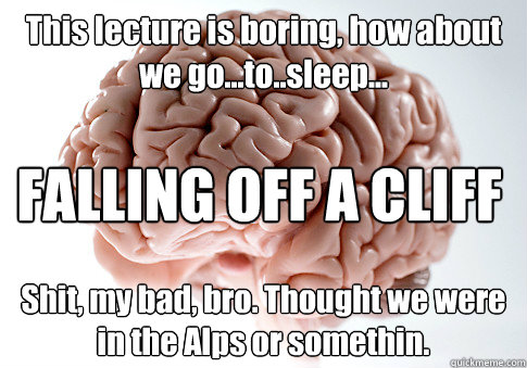 This lecture is boring, how about we go...to..sleep... Shit, my bad, bro. Thought we were in the Alps or somethin. FALLING OFF A CLIFF  Scumbag Brain