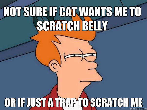 Not sure if cat wants me to scratch belly Or if just a trap to scratch me  