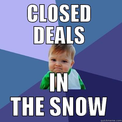 What blizzard? - CLOSED DEALS IN THE SNOW Success Kid